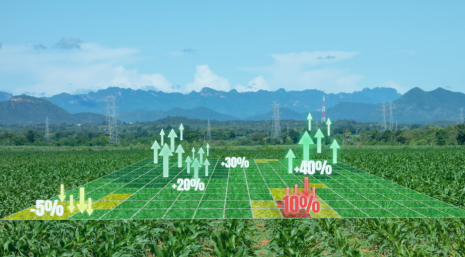 yield-farming-token