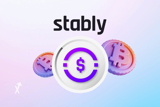 stably-usd-stablecoin