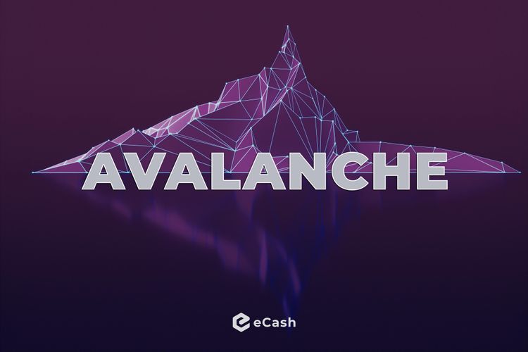 medium_Avalanche_100_comp_6956d6ad86